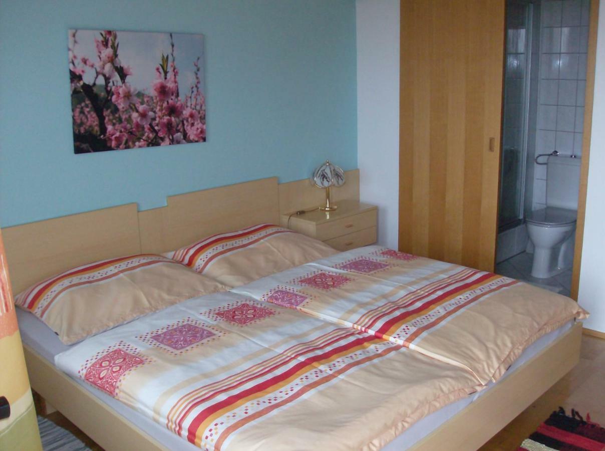 Haus Renarth - Michaela Pro Apartment Kitzeck im Sausal Ngoại thất bức ảnh